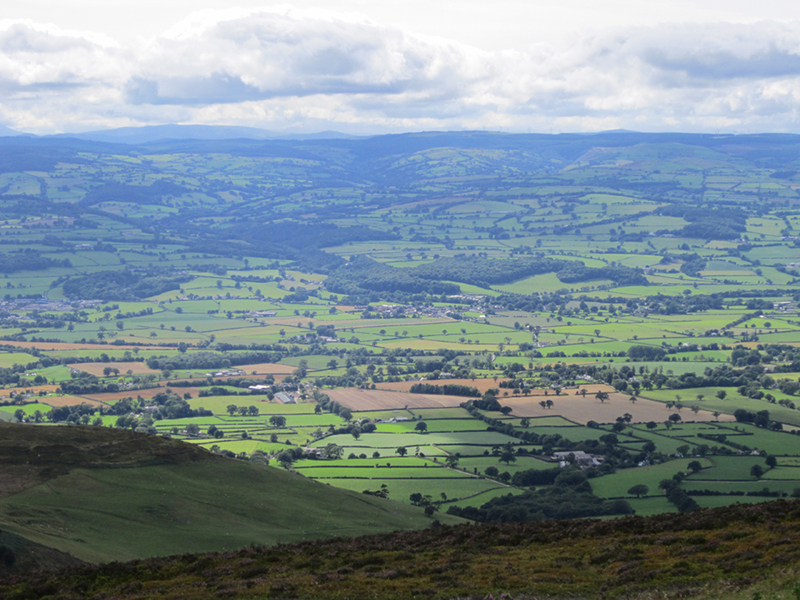 Moel Ffamau